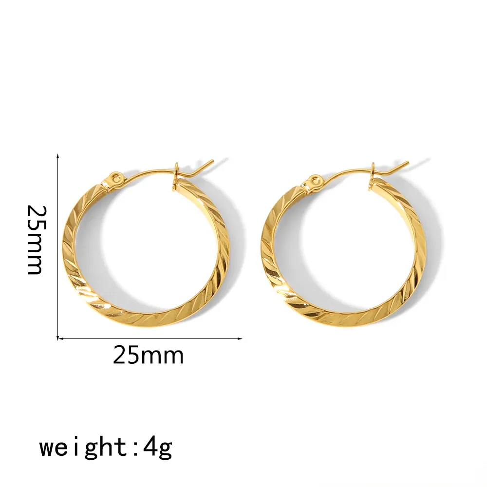 1 Pair Simple Daily Style Round Shape Stainless Steel 18K Gold Plated Women's Hoop Earrings h5 Picture2